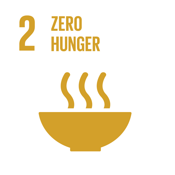 E_INVERTED-SDG-goals_icons-individual-RGB-02