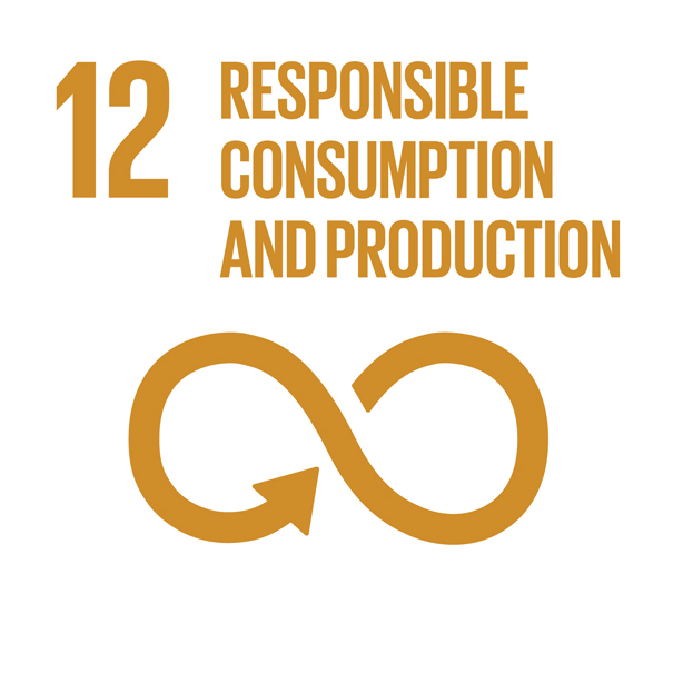 E_INVERTED-SDG-goals_icons-individual-RGB-12