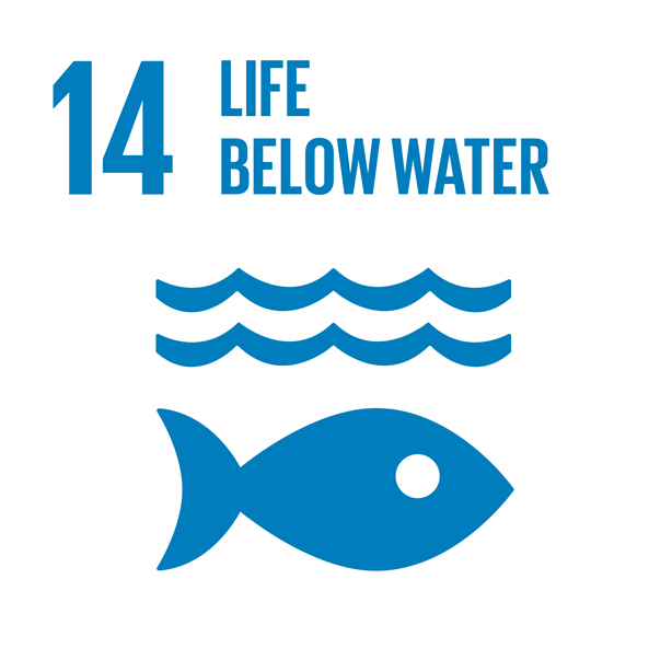 E_INVERTED-SDG-goals_icons-individual-RGB-14
