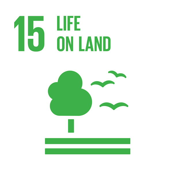 E_INVERTED-SDG-goals_icons-individual-RGB-15