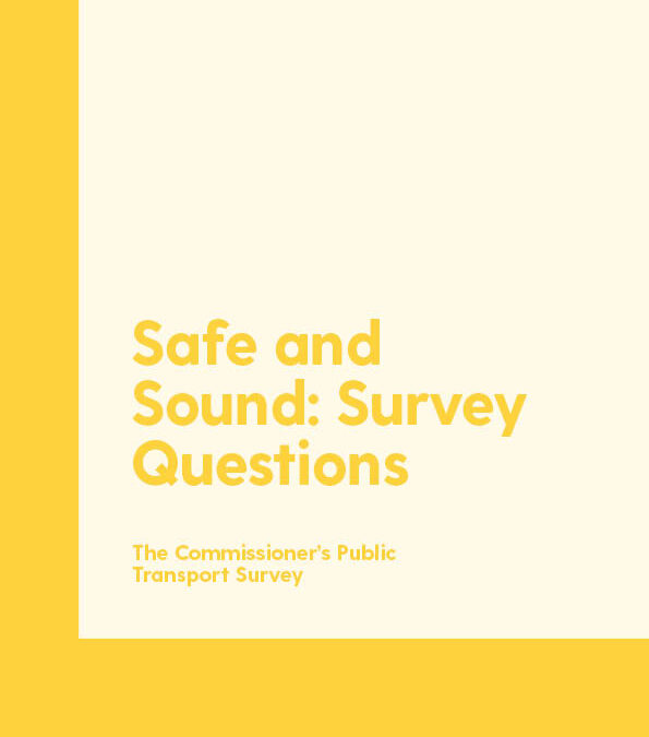 Safe and Sound: Survey Questions
