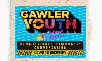 Gawler Youth Consultation