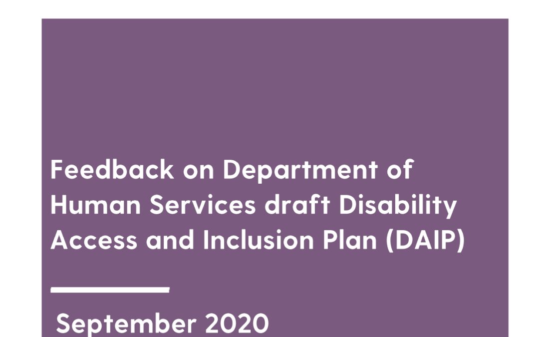 Submission on the Human Services Draft DAIP, 2020