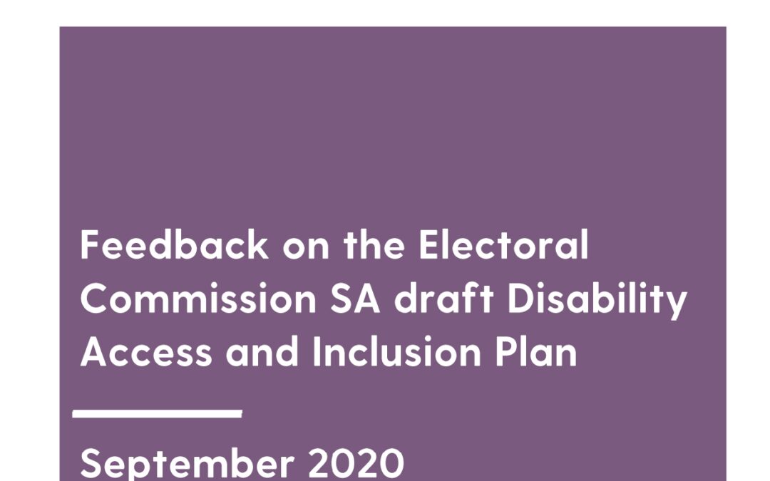 Submission on the Electoral Commission SA Draft DAIP, 2020