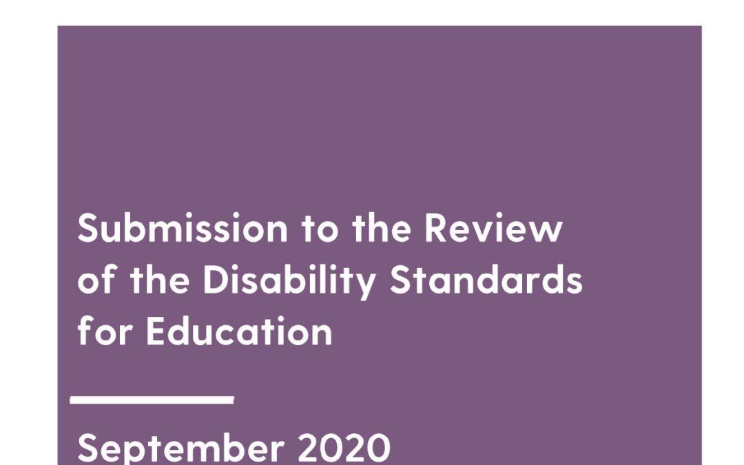 Submission to the Review of the Disability Standards for Education, 2020