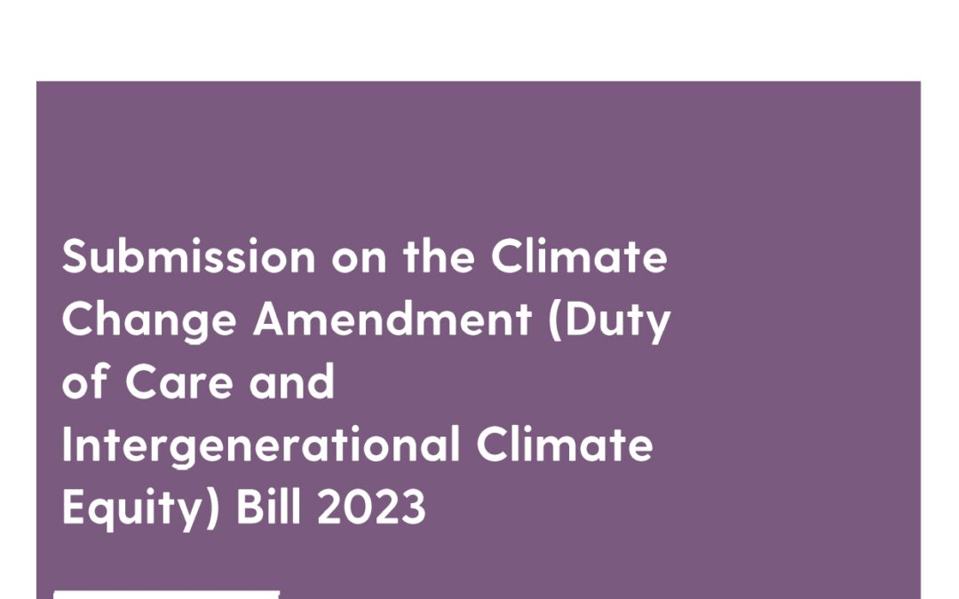 Submission on the Duty of Care and Climate Equity Bill, 2023