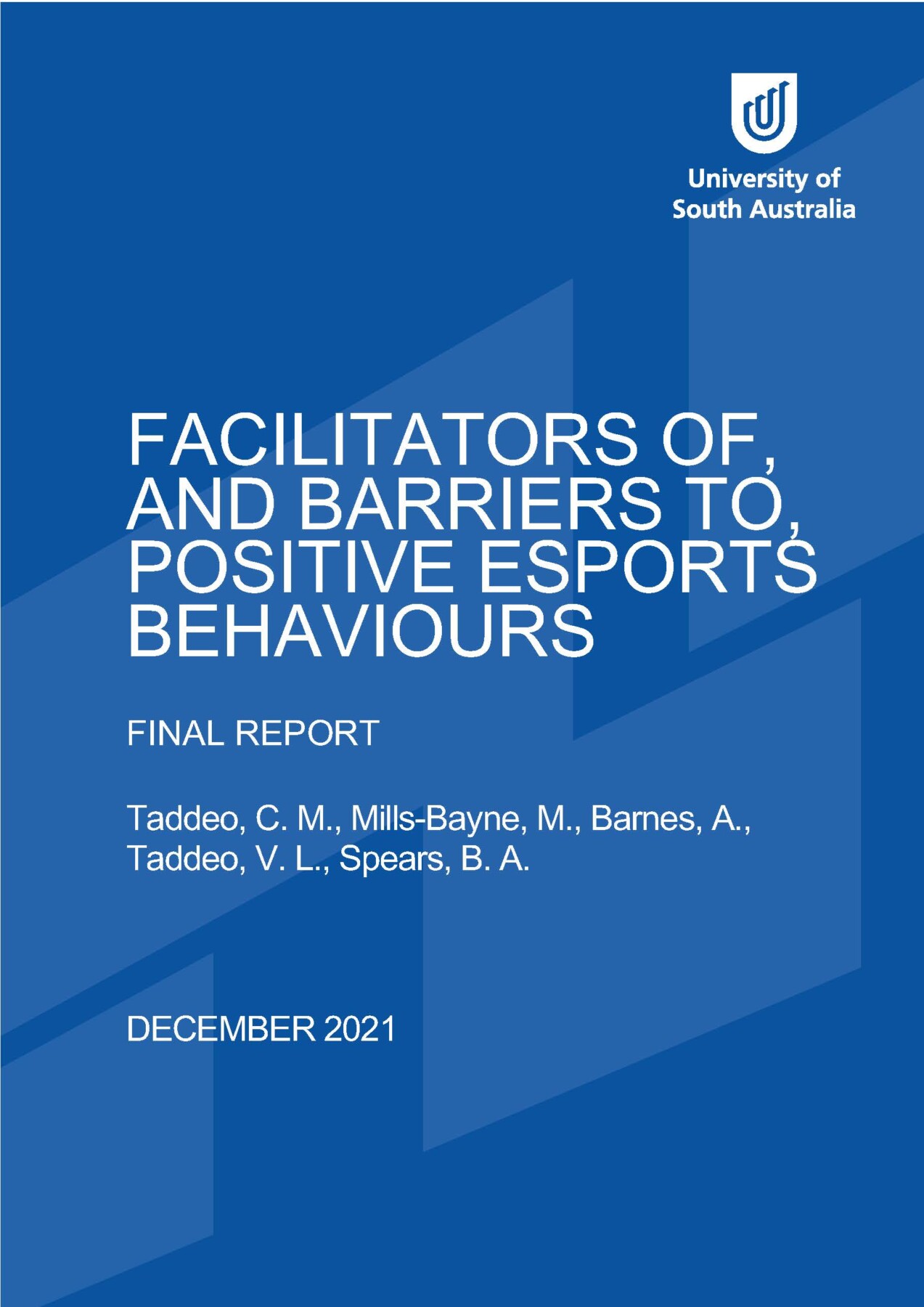 report cover