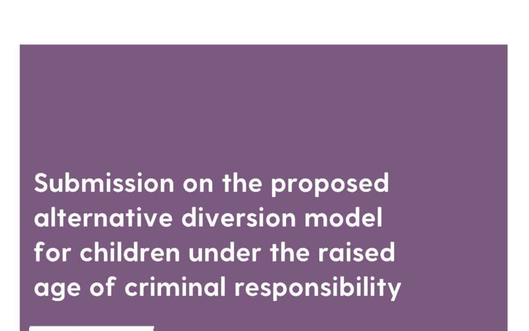 Submission on the proposed alternative diversion model for children under the raised age of criminal responsibility