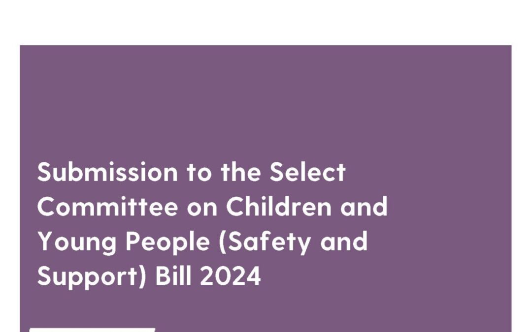 Submission to the Select Committee on Children and Young People (Safety and Support) Bill 2024