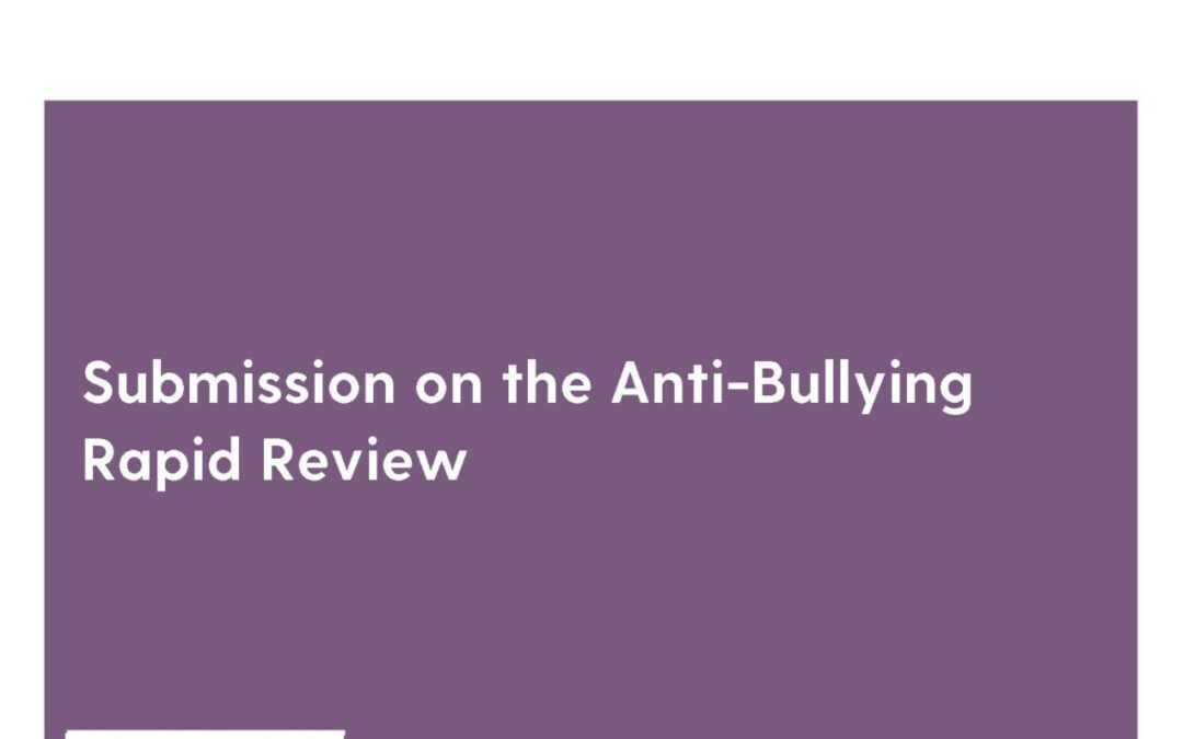 Submission on the Anti-Bullying Rapid Review