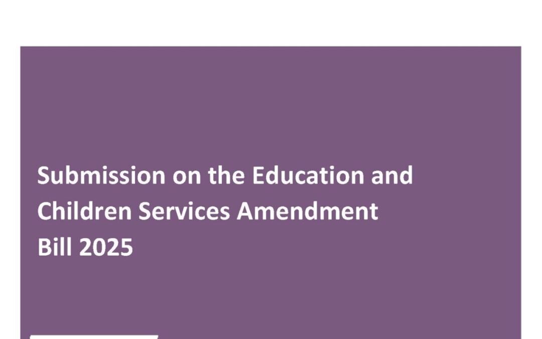 Submission on the Education and Children Services Amendment Bill 2025